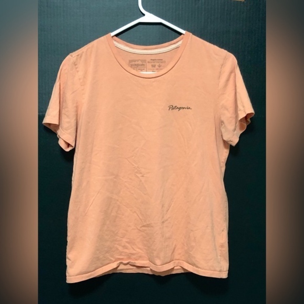 🪺Patagonia Peach Mountains Organic Cotton T-shirt